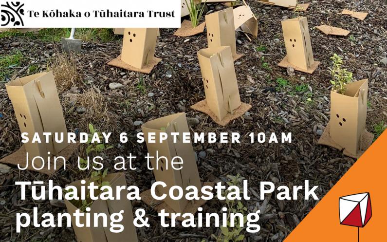 Tuhaitara Planting and training day image